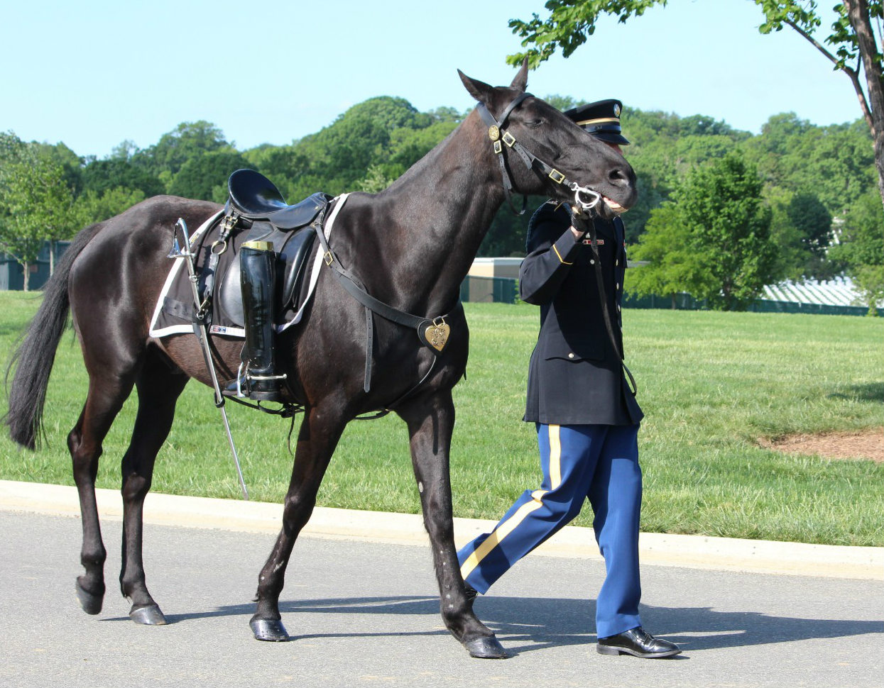 Dr. Duane Graveline Arlington National Cemetery